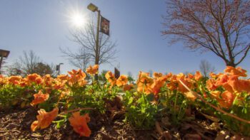 OSUIT Pole banner with flowers and Clock tower Oklahoma State University Institute of Technology Campus